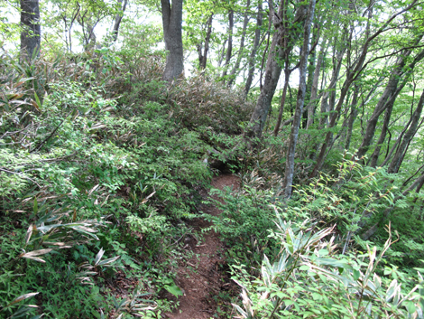 20140517hike (184)